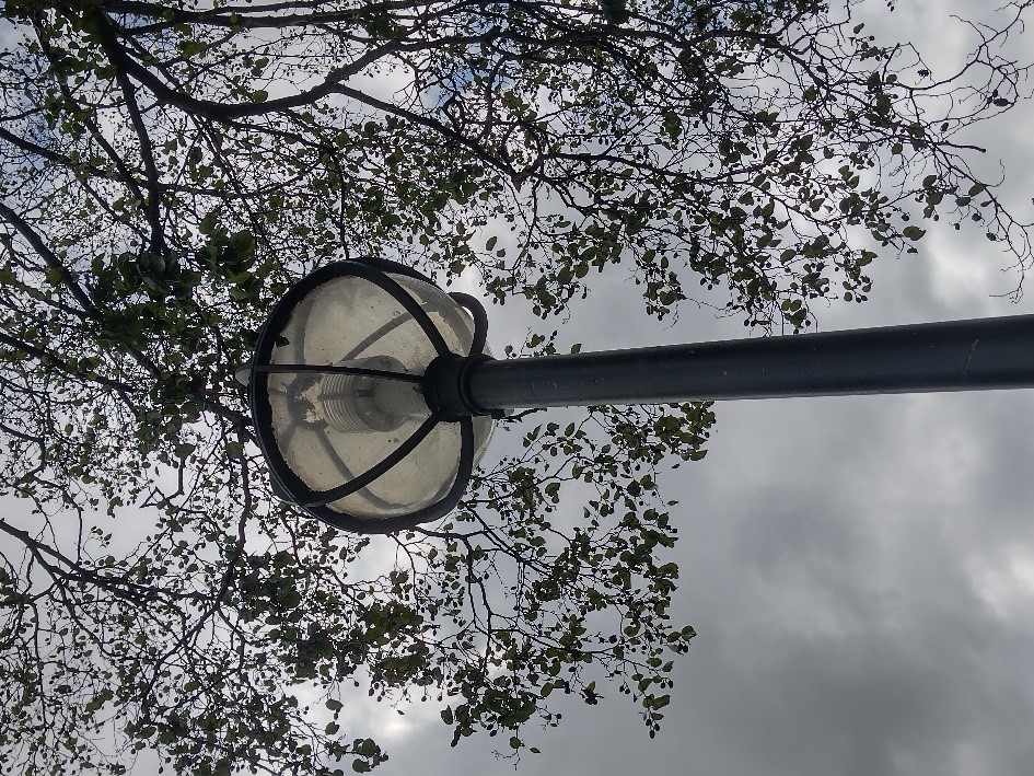 Figure 107 Globus streetlight in Cedar Road car park