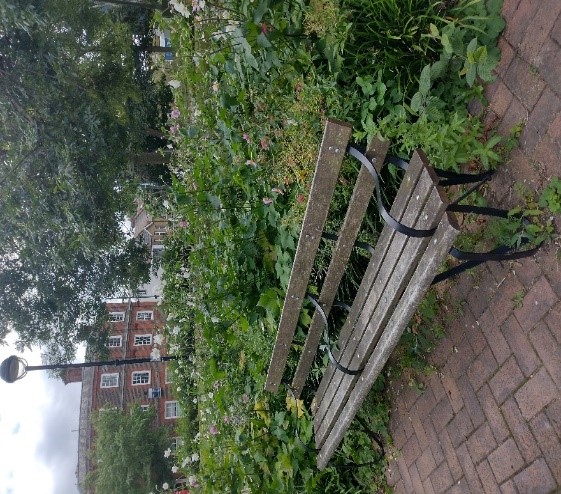 Figure 113 Bench in Elmfield House Gardens