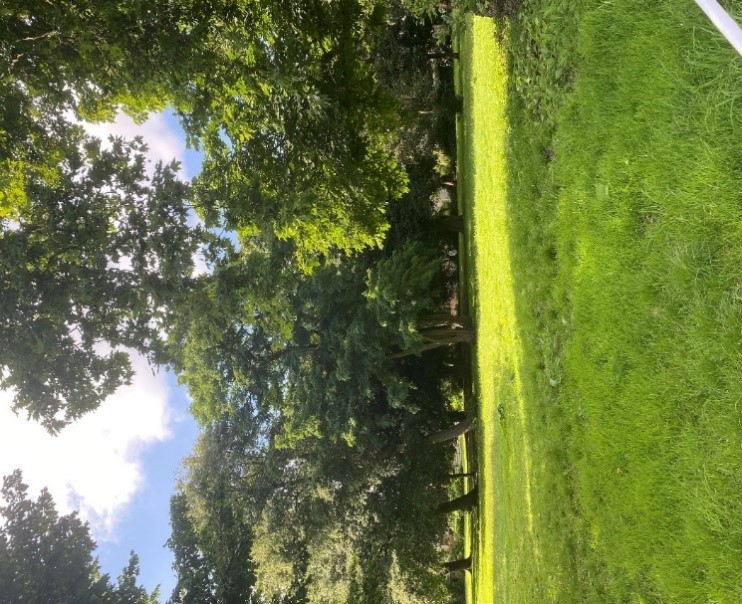 Figure 95 Mature trees in Udney Hall Gardens