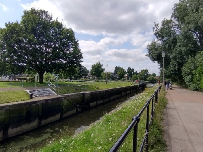 Figure 105 Grass on the Lock and banks of the Lock