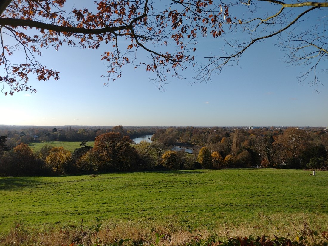 Figure 60 The view from Richmond Hill