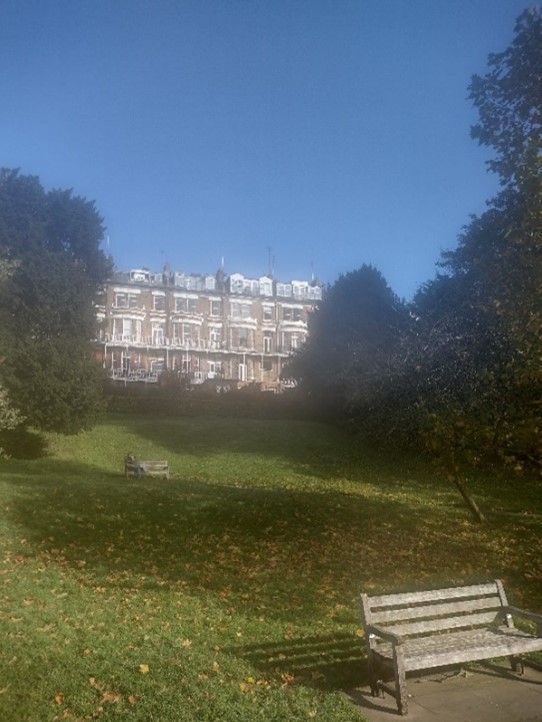 Figure 206 Rotary Gardens as viewed from the Thames towpath