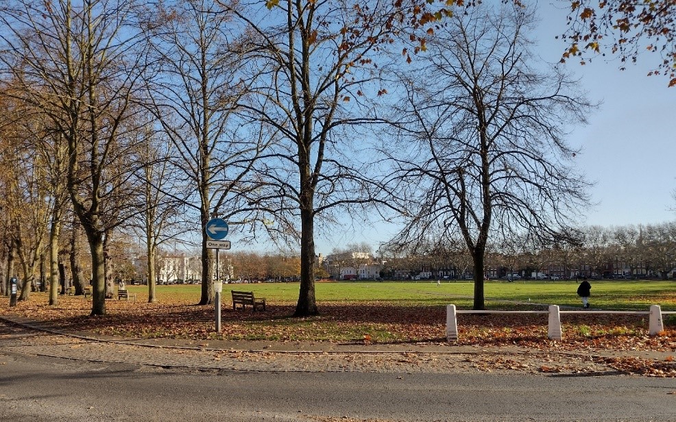 Figure 26 View of the Green bordered by trees