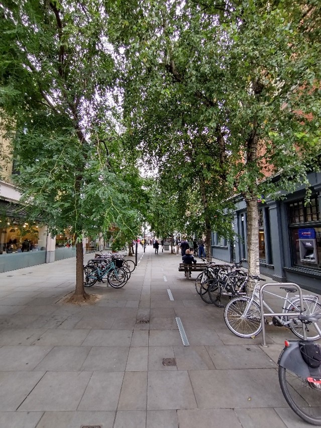 Figure 28 Pedestrianised Lower George Street