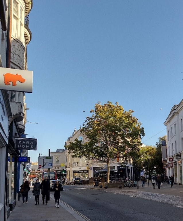 Figure 29 George Street looking towards Lower George Street