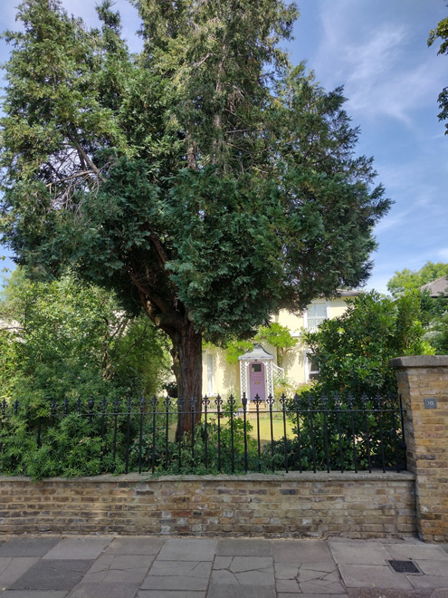 Figure 33: Wall and railings to 10 Trafalgar Road