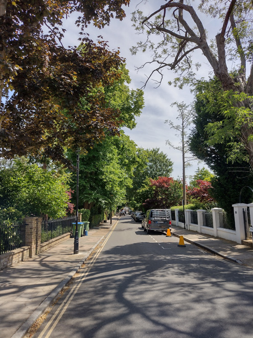 Figure 10: View looking south along Trafalgar Road