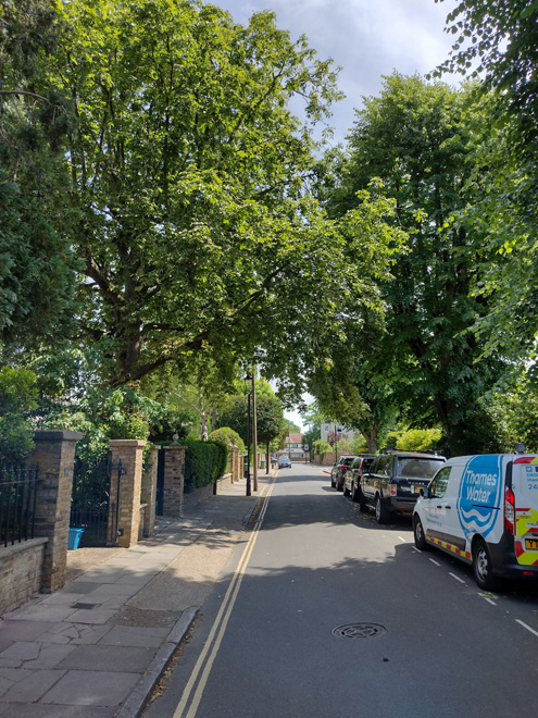 Figure 11: View looking south along Trafalgar Road