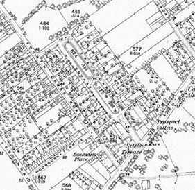 Figure 2: Ordnance Survey Map 1866