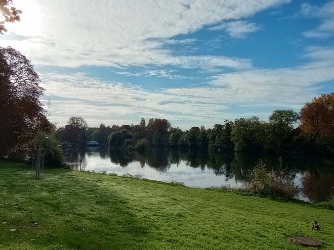 Figure 25: The riverbank between Tagg's Island Bridge and St Alban's Lodge