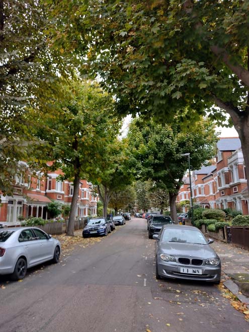 Fig. 76: Mature street trees contribute to a suburban appearance and break up the building line