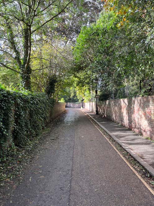 Fig. 112: Riverside with the walls of York House Gardens rising above