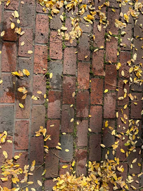 Fig. 130: Modern brick paving is utilised around the Civic Centre