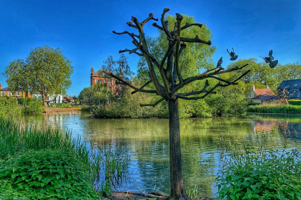 Enjoy our green spaces responsibly this spring and summer