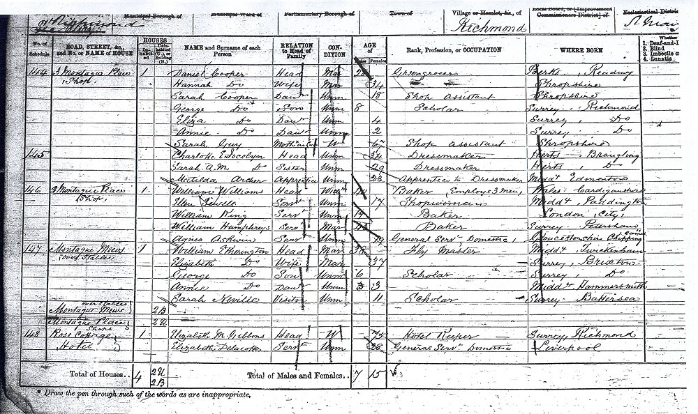 1871 census