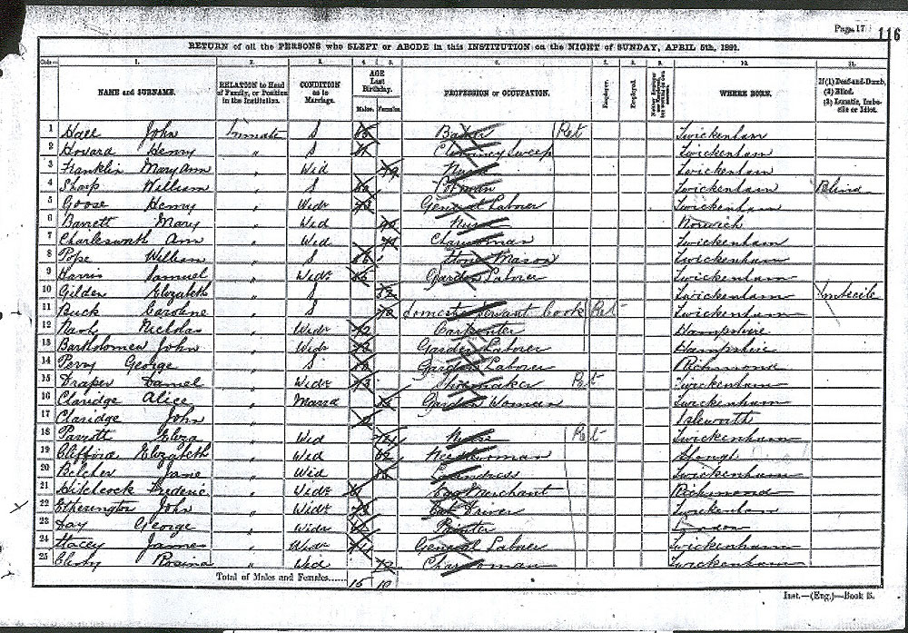 1891 census