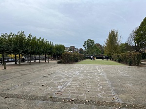 Figure 90 Jubilee Gardens