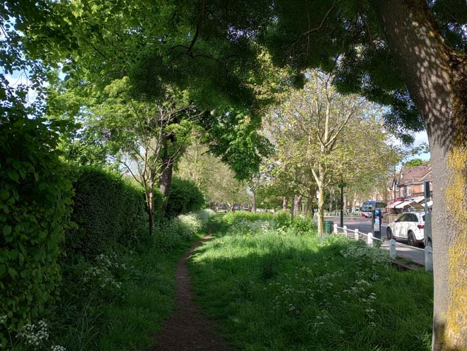 Figure 143: Barnes Green looking west from the easternmost corner (by the junction with Glebe Road)