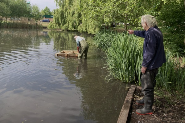 Join the Big Autumn Prune at Ham Pond