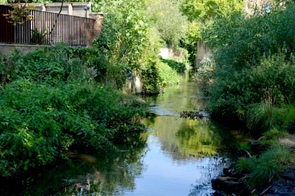 Unlocking the power of water for climate resilience