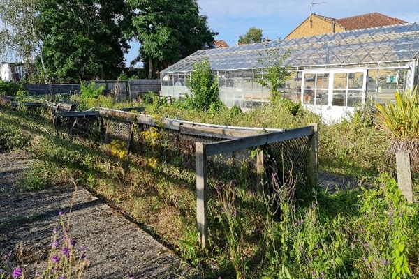 Local charity celebrating community garden renovation funded by National Lottery