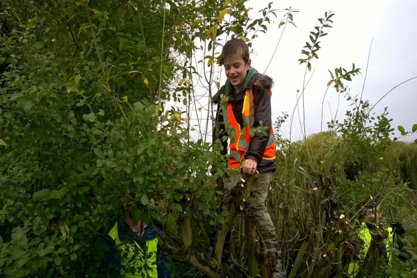 Help prepare the Ham Pond for winter