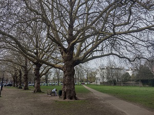 Figure 36 View from Little Green toward the Green