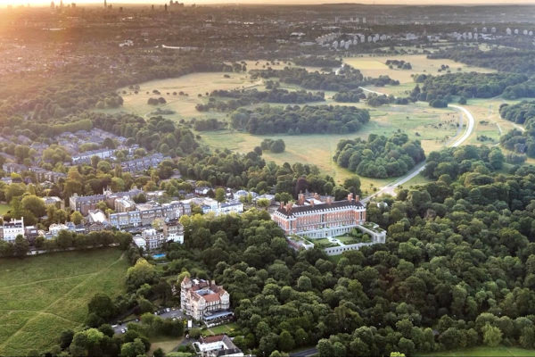 Delight in the history and charm of Petersham Common Woods