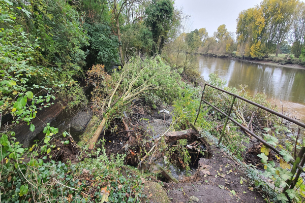  Update - Richmond to Kew towpath